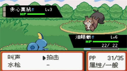 口袋妖怪最终红.3汉化版(4)