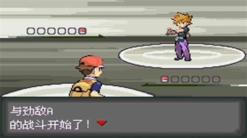 口袋妖怪最终红.3汉化版(3)