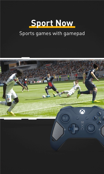 熊猫映射2026最新版(2)