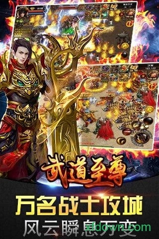 武道至尊游戏安卓版