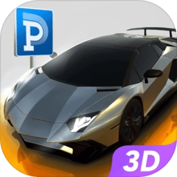真实停车高手手机版
