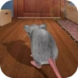 疯狂老鼠王安卓版