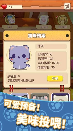 养只大肥猫安卓版