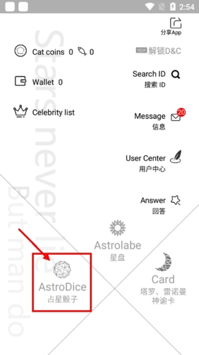 占星猫占星骰子入口展示