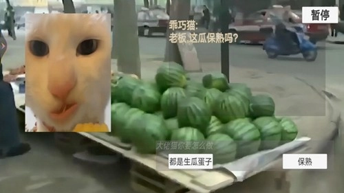 猫猫惊魂夜游戏图4