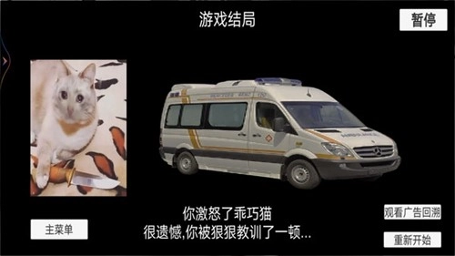 猫猫惊魂夜游戏图3