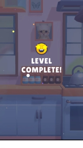 收纳整理大师(4)