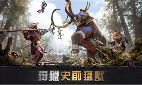 大酋长国际服图3