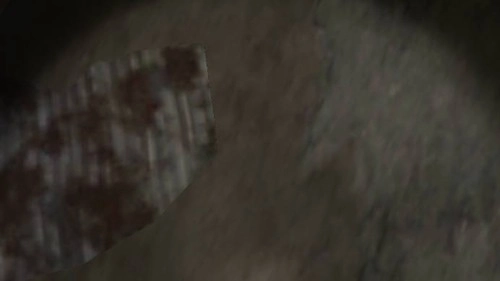 兰德里纳河的旧隧道图3