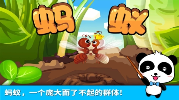 宝宝认蚂蚁安卓版