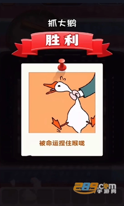 抓大鹅安卓版(2)