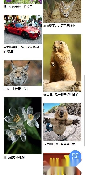 百度识图安卓版(3)