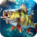 歡樂釣魚大師手機(jī)版