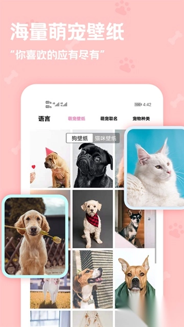 动物语言翻译器图1