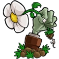 植物大战僵尸重制版