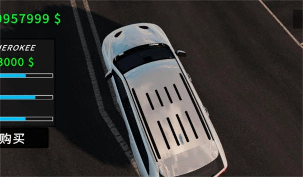 真实汽车驾驶图2