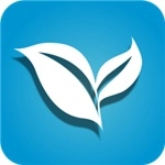 叶子tv盒子版 v1.1.8