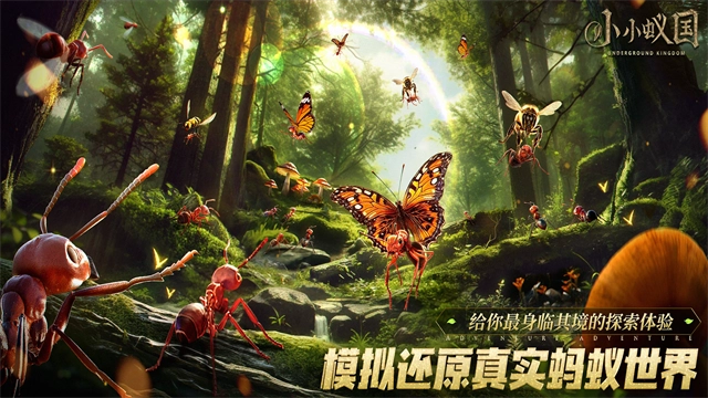 蚂蚁地下王国图4