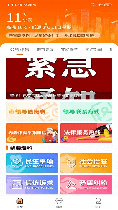 暖心舒兰图1