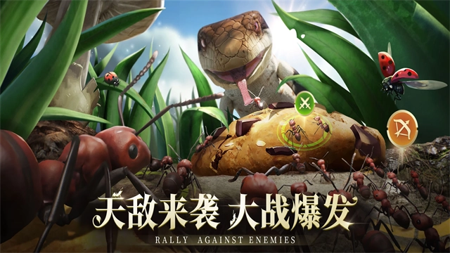 蚂蚁地下王国图3