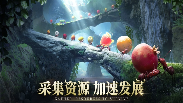 蚂蚁地下王国图5