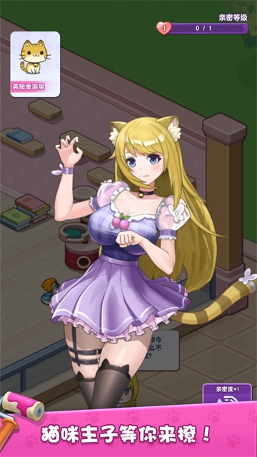 我的猫咪小家图3