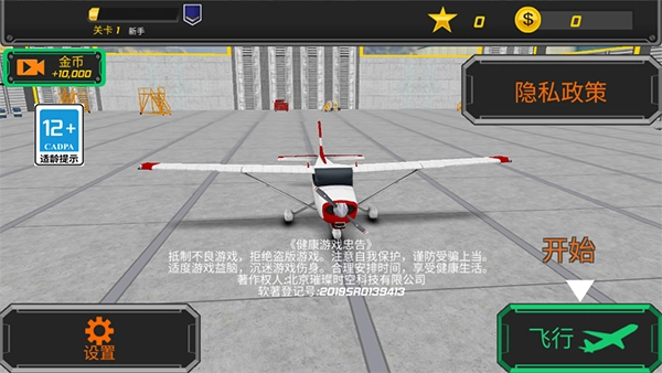 仿真飞机驾驶游戏(1)
