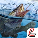 天天钓鱼最新版 v1.9