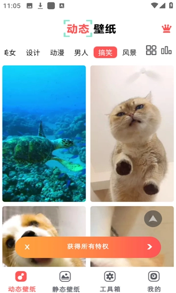 布丁壁纸大全图1