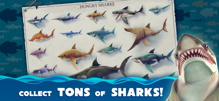 饥饿鲨世界国际服2026图1