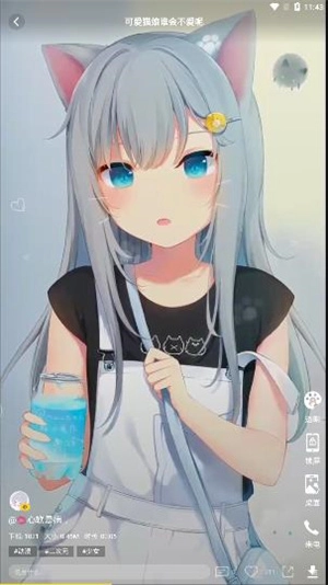 熊猫动态壁纸图1