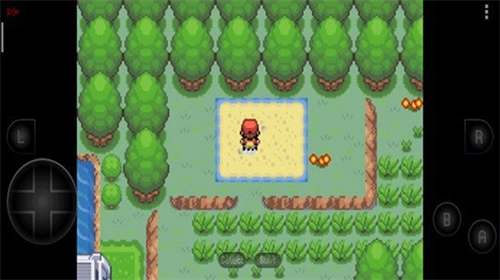 口袋妖怪彼岸花绽放之夜图2