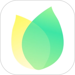 飞火动态壁纸软件