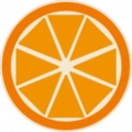 橙子百科