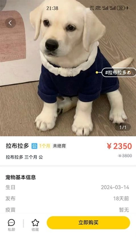 闲小宠手机版图2