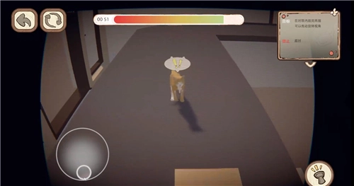 此处应有猫游戏(2)