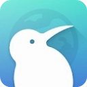 kiwi浏览器手机版