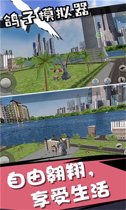 鸽子模拟器手机版(2)