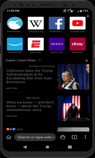 kiwi浏览器-图1