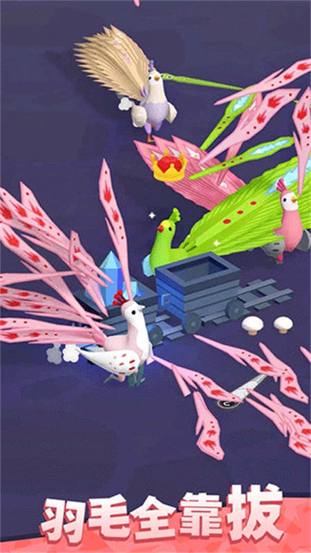 孔雀拔毛大赛正版图3