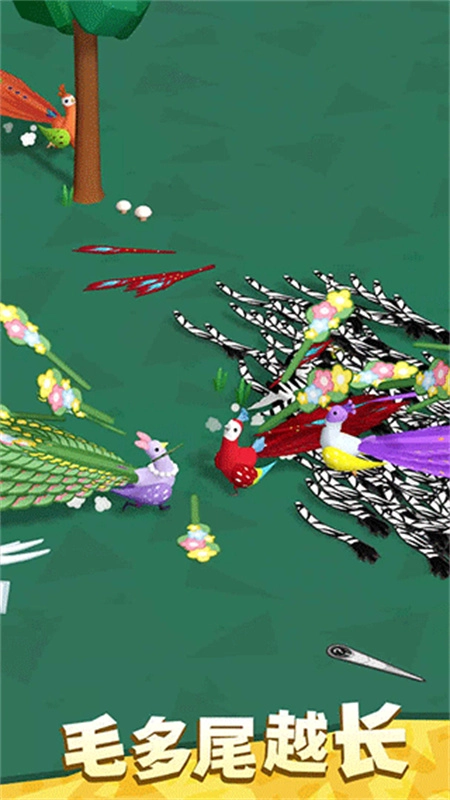 孔雀拔毛大赛正版图4