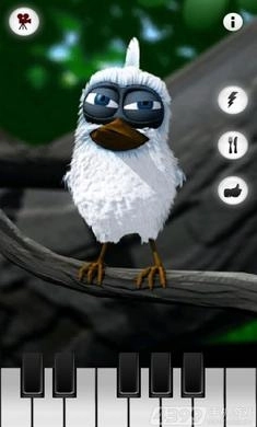 会说话的拉里鸟游戏(1)