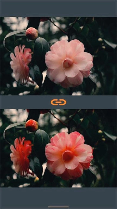 VES图像和照片进行比较图3