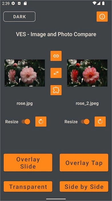 VES图像和照片进行比较图2