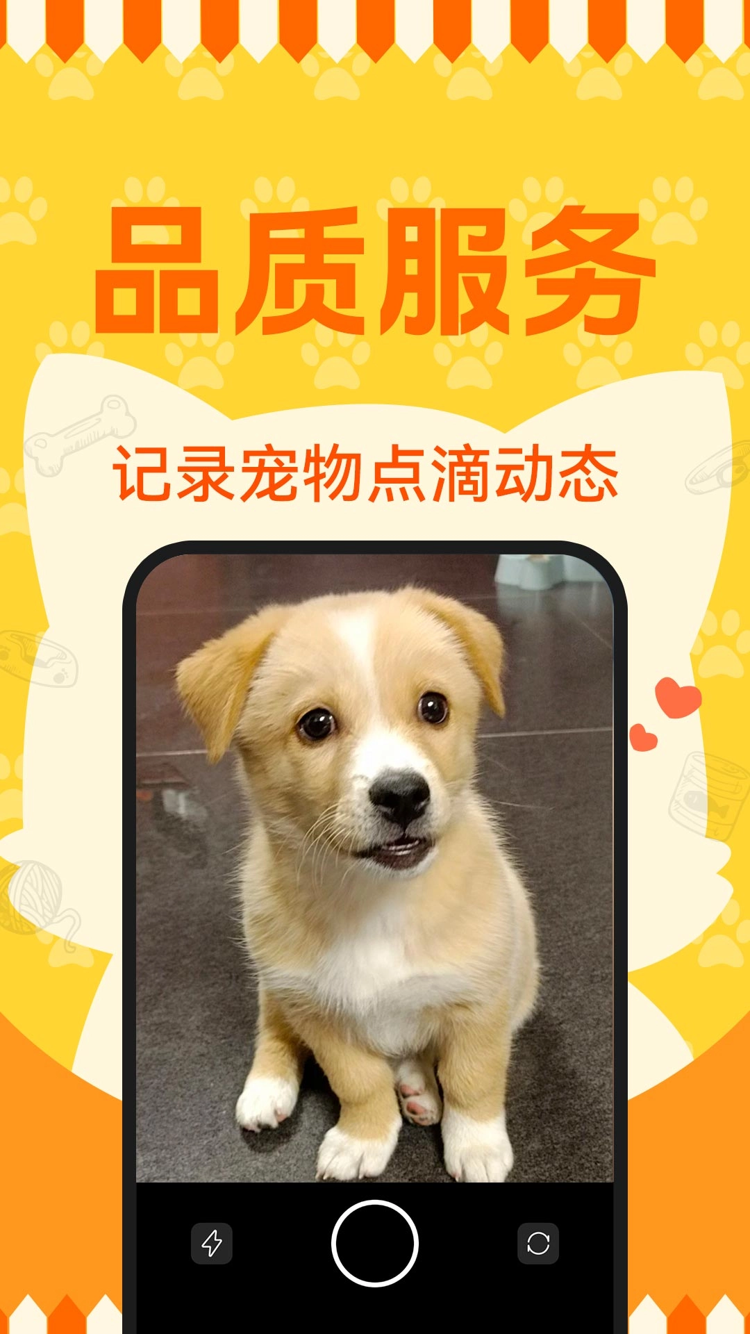 宠物寄养托管助手2