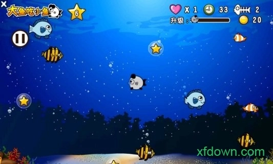 大鱼吃小鱼手机版