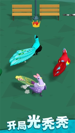 孔雀拔毛大赛安卓版
