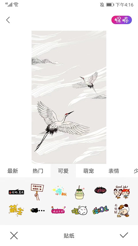 ProMovie专业摄像机正版(4)