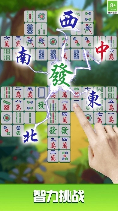 挪了个对子安卓版