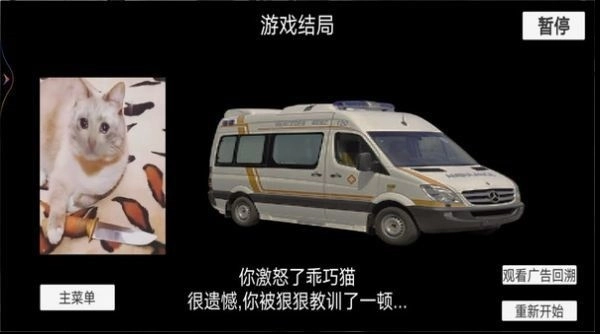 猫猫惊魂夜游戏安卓版